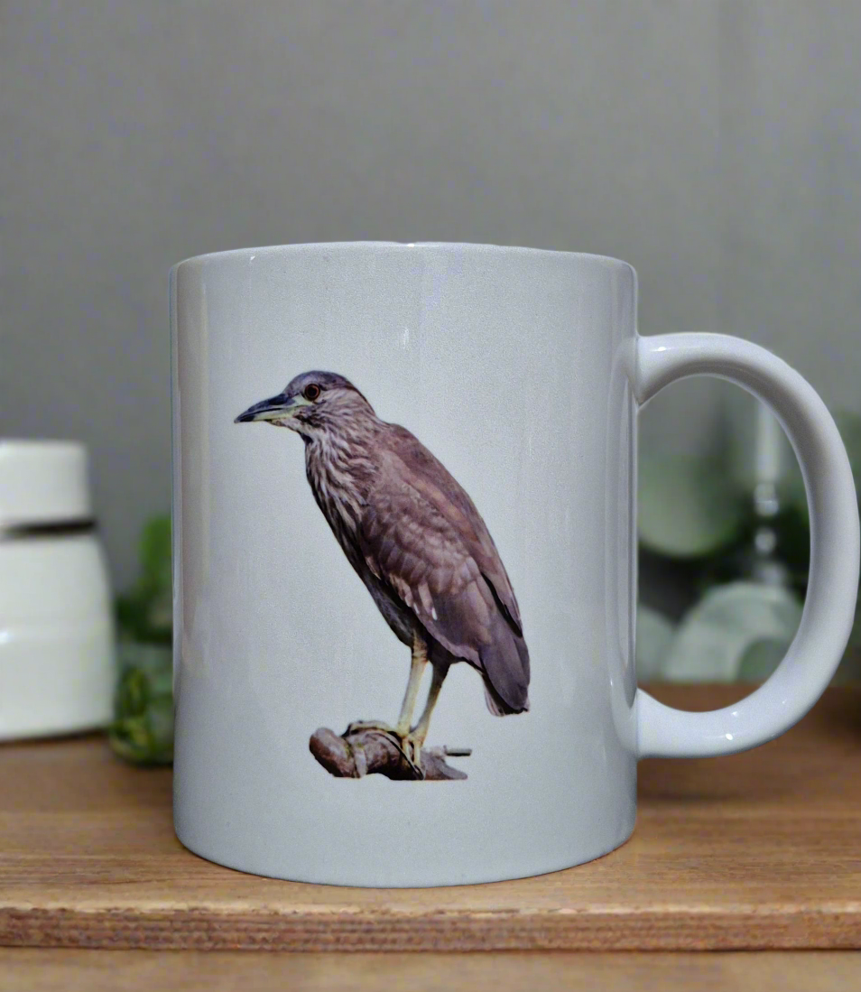 Juvenile Black Crowned Night Heron Mug